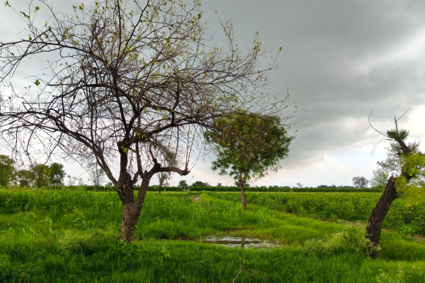 WhatsApp Image 2025-07-22 at 4.10.44 PM